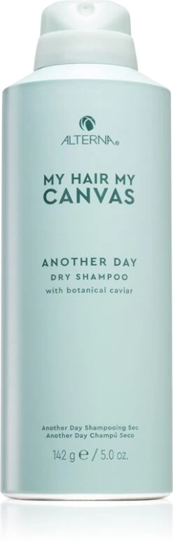 Alterna My Hair My Canvas Another Day