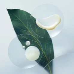 Aveda Botanical Repair™ Strengthening Shampoo -Kérastase Boutique aveda botanical repair strengthening shampoo shampoing fortifiant pour cheveux abimes 3