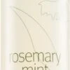 Aveda Rosemary Mint Purifying Shampoo
