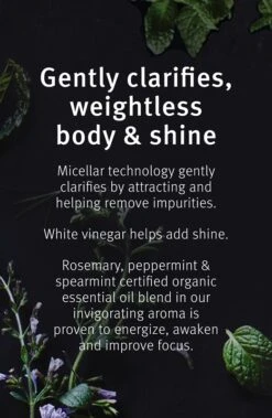 Aveda Rosemary Mint Purifying Shampoo -Kérastase Boutique aveda rosemary mint purifying shampoo shampoing nettoyant en profondeur brillance 4