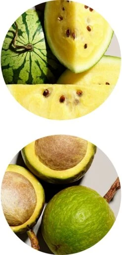 Aveda Smooth Infusion™ Perfect Blow Dry 20 Aveda Smooth Infusion™ Perfect Blow Dry -Kérastase Boutique aveda smooth infusion perfect blow dry spray brushing disciplinant anti frisottis 6