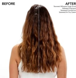 Bumble And Bumble Seaweed Air Dry Leave-In -Kérastase Boutique bumble and bumble seaweed air dry leave in creme coiffante a lextrait dalgues marines 4