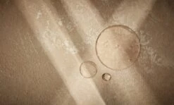 Christophe Robin Regenerating Shampoo With Prickly Pear Oil -Kérastase Boutique christophe robin regenerating shampoo with prickly pear oil shampoing regenerant 2