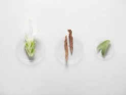 Kérastase Fusio Scrub Énergisant -Kérastase Boutique kerastase fusio scrub energisant gelee exfoliante pour cuir chevelu gras 2