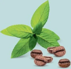 Londa Professional Vital Booster -Kérastase Boutique londa professional vital booster serum fortifiant et regenerant pour cheveux pour cheveux abimes 4